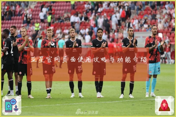 亚星官网页面使用攻略与功能介绍