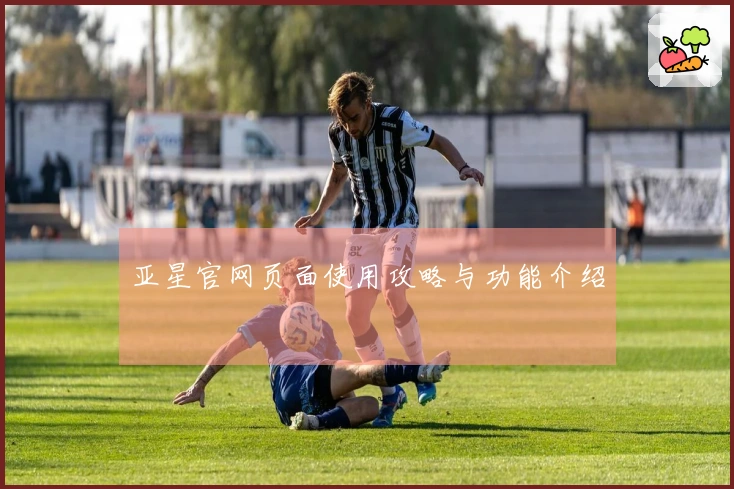 亚星官网页面使用攻略与功能介绍